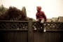 On The Fence On The Fence